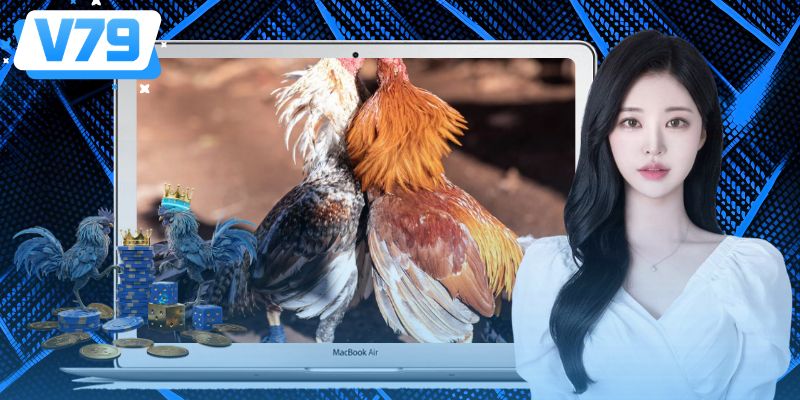 Những yếu tố đáng chú ý khi đánh giá chiến kê trước trận Những yếu tố đáng chú ý khi đánh giá chiến kê trước trận